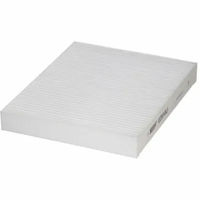 HENGST FILTER E2910LI Filtro, Aria Abitacolo Promozione Esclusiva