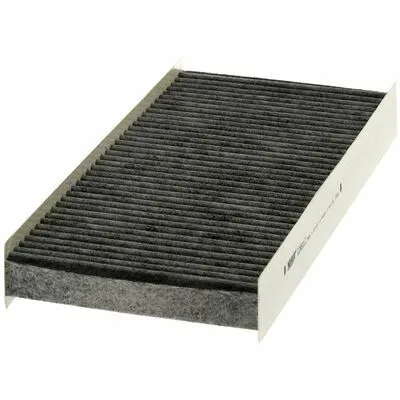Consegna Rapida HENGST FILTER E2951LC Filtro, Aria Abitacolo