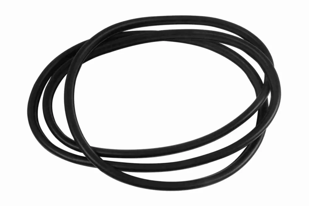 VAICO V20-1202 - Guarnizione, Cristallo portiera ATP Autoricambi Offerta Limitata