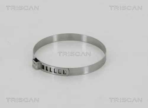 Acquista Ora TRISCAN 8541 7379 - Nastro di serraggio ATP Autoricambi