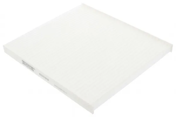 Super Prezzo MAPCO 65589 - Filtro, Aria abitacolo ATP Autoricambi