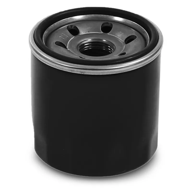 Promozione BESTPRICE 31475224 - Filtro olio ATP Autoricambi