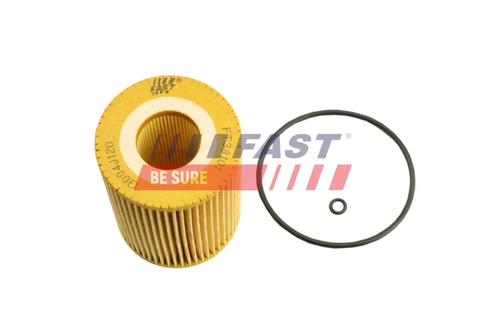 Reso Gratuito FAST FT38101 - Filtro olio ATP Autoricambi