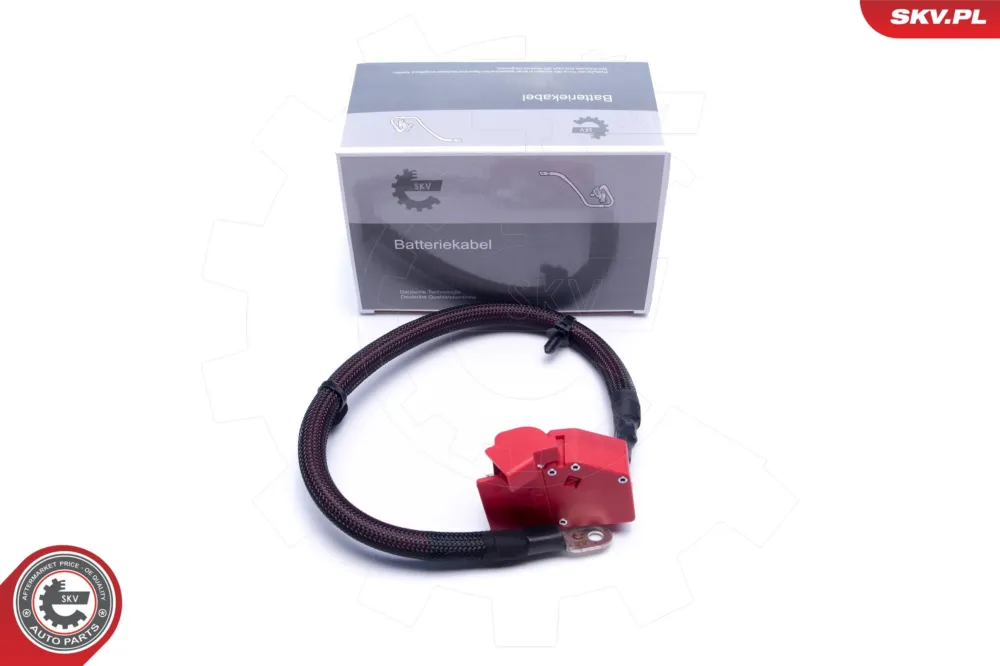 ESEN SKV 96SKV315 - Adattatore batteria ATP Autoricambi Spedizione Espresso