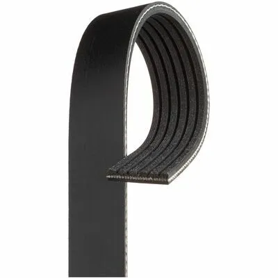 Reso Gratuito GATES Micro-V® 6PK1025 Cinghia Poly-V