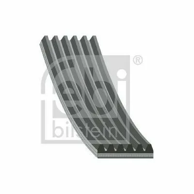 FEBI BILSTEIN 28955 Cinghia Poly-V Occasione Imperdibile