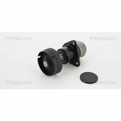 Promozione Esclusiva TRISCAN 8641 164005 Puleggia Cinghia, Alternatore
