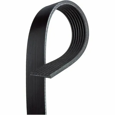 Acquista Ora GATES Micro-V® 7PK1645 Cinghia Poly-V