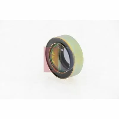 A Buon Prezzo AKS DASIS 852379N Innesto Elettromagnetico, Compressore Clima