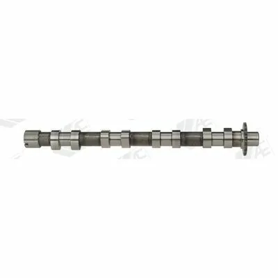 AE CAM748 Albero a Camme Sconto