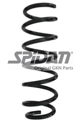 Economico SPIDAN 87916 - Molla autotelaio ATP Autoricambi