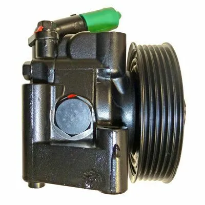 Quantità Limitata LIZARTE 04.88.0254-3 Pompa Idraulica, Sterzo