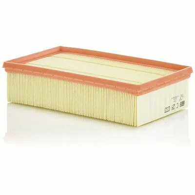 MANN-FILTER C 29 033 Filtro Aria Spedito Oggi