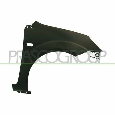 Compra Adesso PRASCO Premium FD3403013 Parafango
