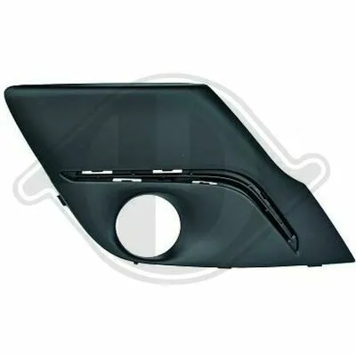 Compra Oggi Stesso DIEDERICHS 4211246 Griglia di Ventilazione, Paraurti