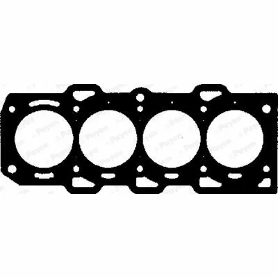PAYEN BW710 Guarnizione, Testata Saldi