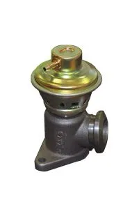 A Buon Prezzo valvola ricircolo gas scarico-egr