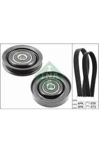 Kit Cinghie Poly-V Scelto Dai Clienti