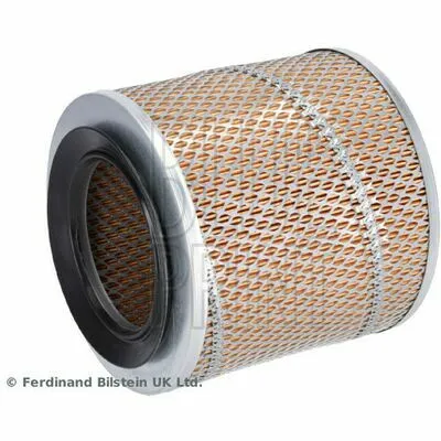 Offerta BLUE PRINT ADT32210 Filtro Aria