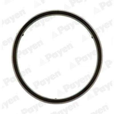 PAYEN JM5157 Guarnizione, Copritestata Ultime Pezzi