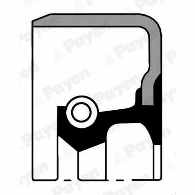 PAYEN NK214 Anello Tenuta, Differenziale Prezzo Scontato