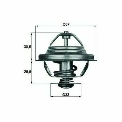 Saldi MAHLE BEHR TX 27 80D Termostato, Refrigerante