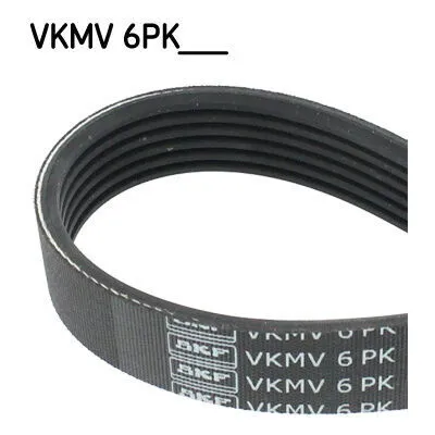 SKF VKMV 6PK1560 Cinghia Poly-V Compra Online
