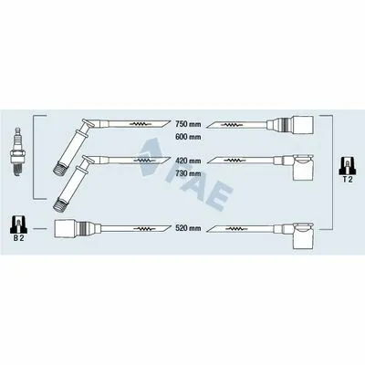 FAE 83800 Cavo Accensione Scelto Dai Clienti