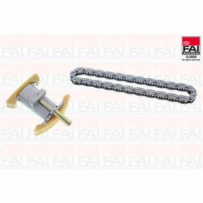 FAI AUTOPARTS TCK131NG Kit Catena Distribuzione Affare