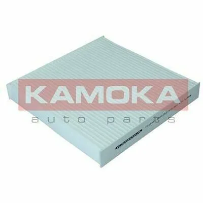Soddisfatti O Rimborsati KAMOKA F419901 Filtro, Aria Abitacolo